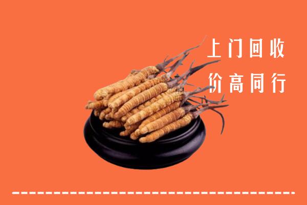 收购行情：阆中市回收散虫草