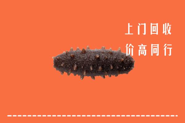 附近收购：阆中市回收海参