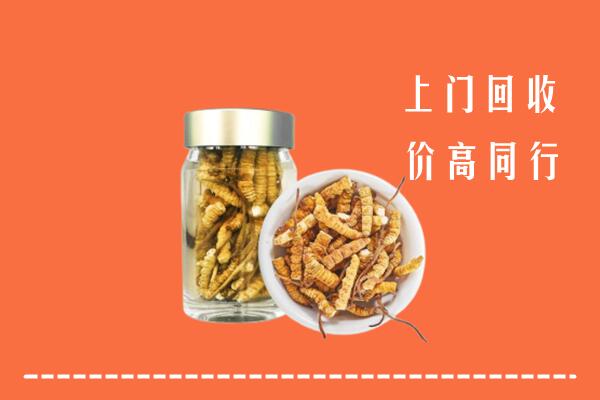 阆中市回收冬虫夏草
